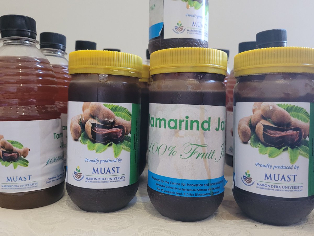 LesleyMacheka's tweet photo. @MaronderaVarsit exhibiting at the #ZITF2023. We are promoting #value addition in #traditional #foodsystems. We are located in Marquee, CA21, behind Hall 4. #transformativeinnovations. Come visit us! https://t.co/SjfTa0ZLdO