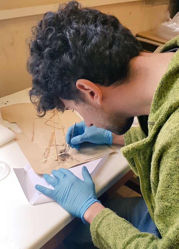 Herbier UCBLyon1 tweet media