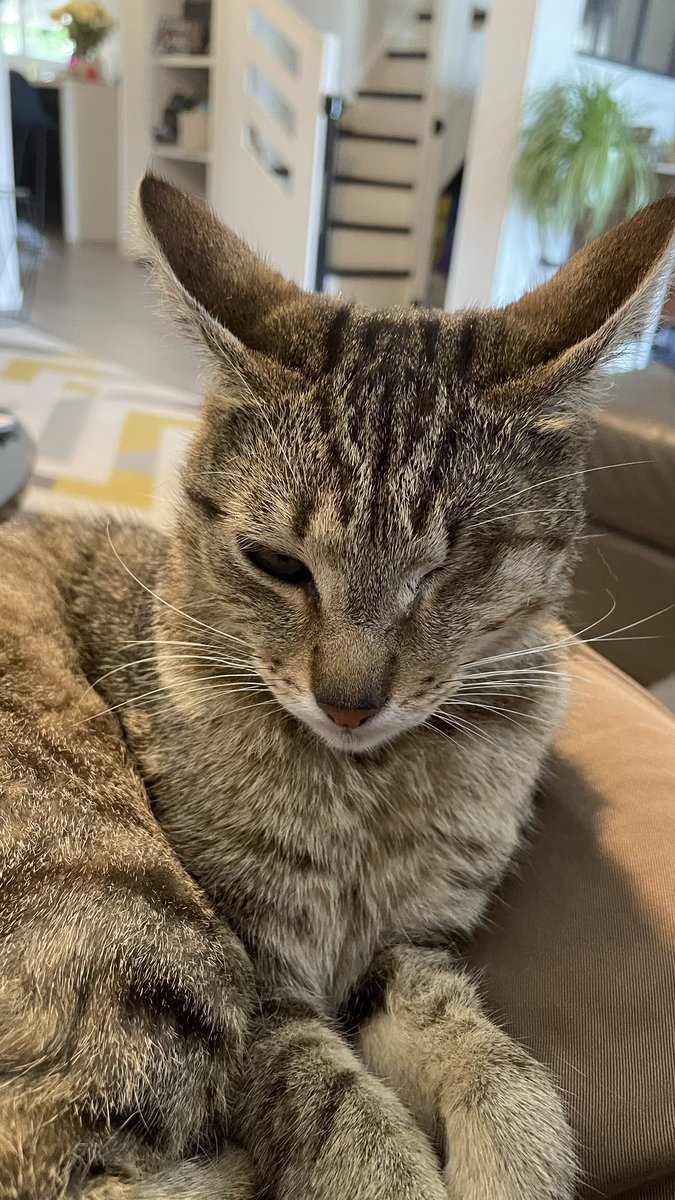 CyberDefenceFr's tweet image. RIP