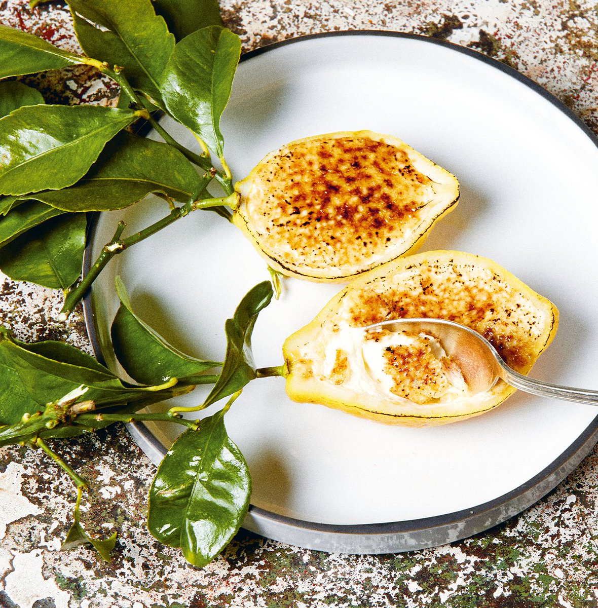 Komen jouw vrienden binnenkort eten? Met 'Big Mamma in 30 minuten' verras je ze met ultra gastronomische gerechten, zonder daarvoor uren in de keuken te staan. Serveer de 'Panna Wintour' als feestelijke afsluiter en voor een avond vol complimenten. 😏

bit.ly/boek_bigmammai…