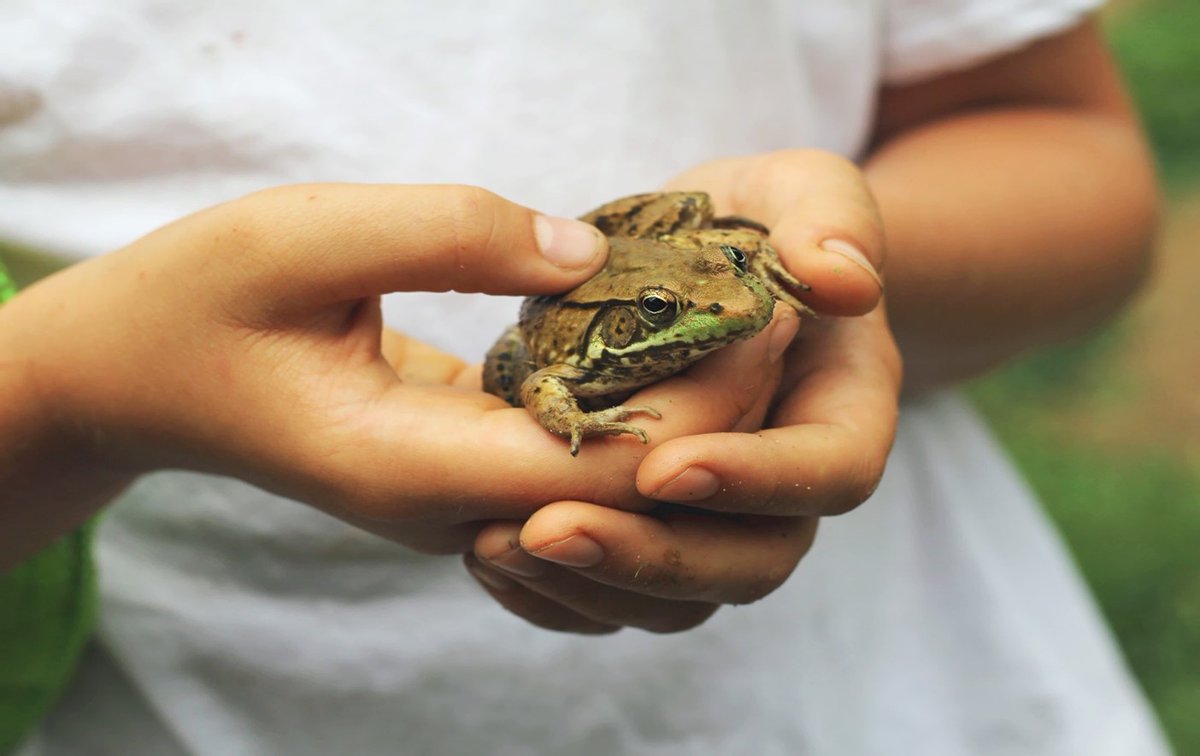 RichmondLibs's tweet photo. Learn about animals at Little Seedlings Grow Club
Interactive workshop by Wild Science!
Feed your curiosity about animals and meet an exciting variety of small mammals, reptiles and minibeasts.
📆 Wednesday 10 May
⏰ 3.30pm - 4.30pm
📍 Ham Library

@Visit_Richmond1 https://t.co/fOsY6LpfSZ