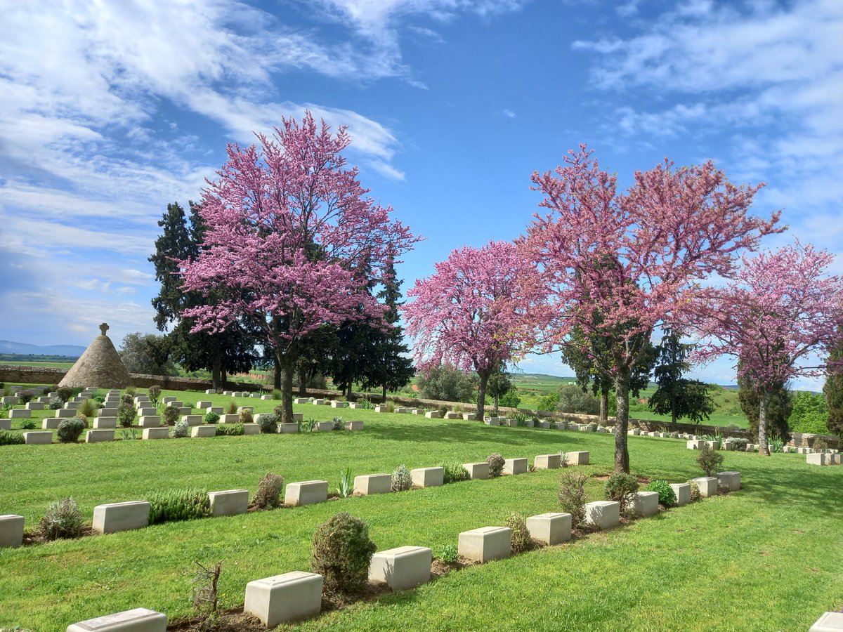 ChantzisNikos's tweet photo. Good morning from @CWGC Sarigol Military Cemetery. https://t.co/DTMr4eZ6RT