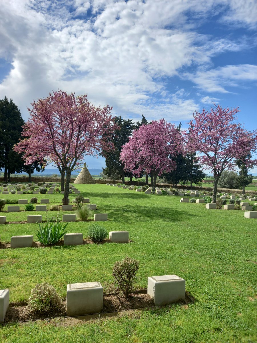 ChantzisNikos's tweet photo. Good morning from @CWGC Sarigol Military Cemetery. https://t.co/DTMr4eZ6RT
