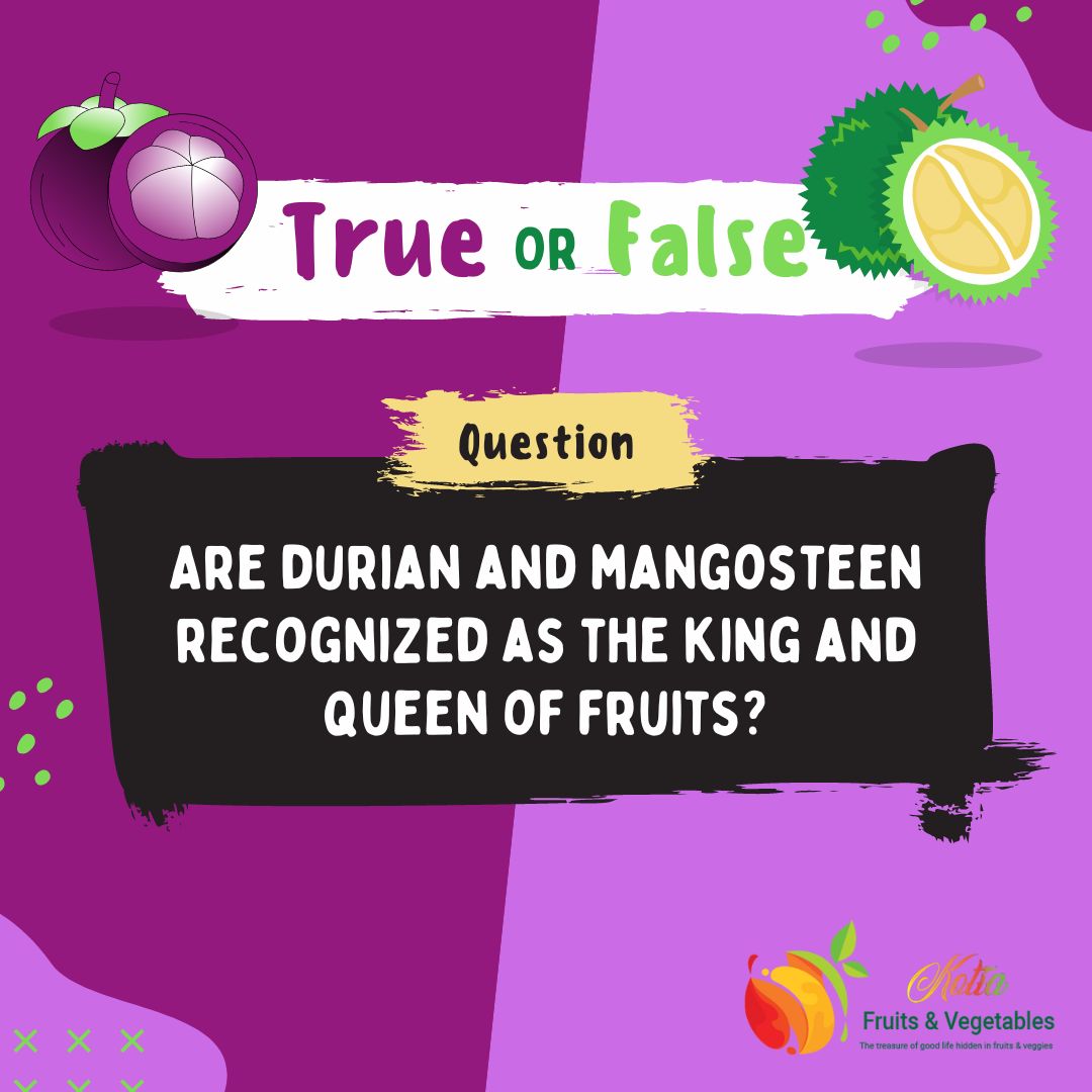 KotiaOffical's tweet photo. 🍈👑 True or False: Durian and mangosteen, popular fruits from Southeast Asia, are known as the king and queen of fruits. But is it fact or fiction? #KingAndQueenOfFruits #Mangosteen #Durian #Foodie #HealthyEating https://t.co/Rz0T8hQgAz