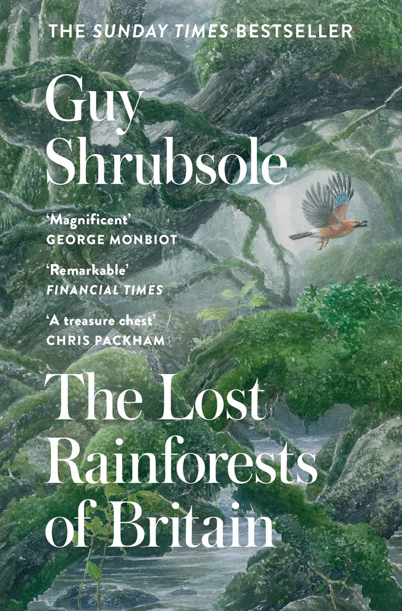 Out now in paperback: The Lost Rainforests of Britain nhbs.com/the-lost-rainf… <a href="/guyshrubsole/">Guy Shrubsole</a>'s account of of a unique habitat most people do not even know we had on this island <a href="/WmCollinsBooks/">William Collins Books</a> <a href="/HarperCollinsUK/">HarperCollinsUK</a> <a href="/BSBIbotany/">BSBI: Botanical Society of Britain & Ireland</a> <a href="/CBHLTweets/">Council on Botanical & Horticultural Libraries</a> <a href="/ForestryEngland/">Forestry England</a> <a href="/ForestryComm/">Forestry Commission</a> <a href="/TheTreeCouncil/">The Tree Council</a>