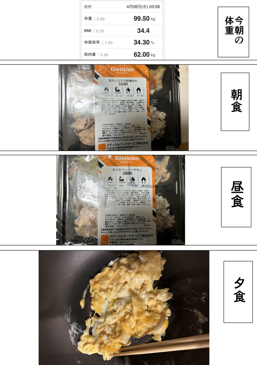 本気で30キロ痩せたい漫画家13 