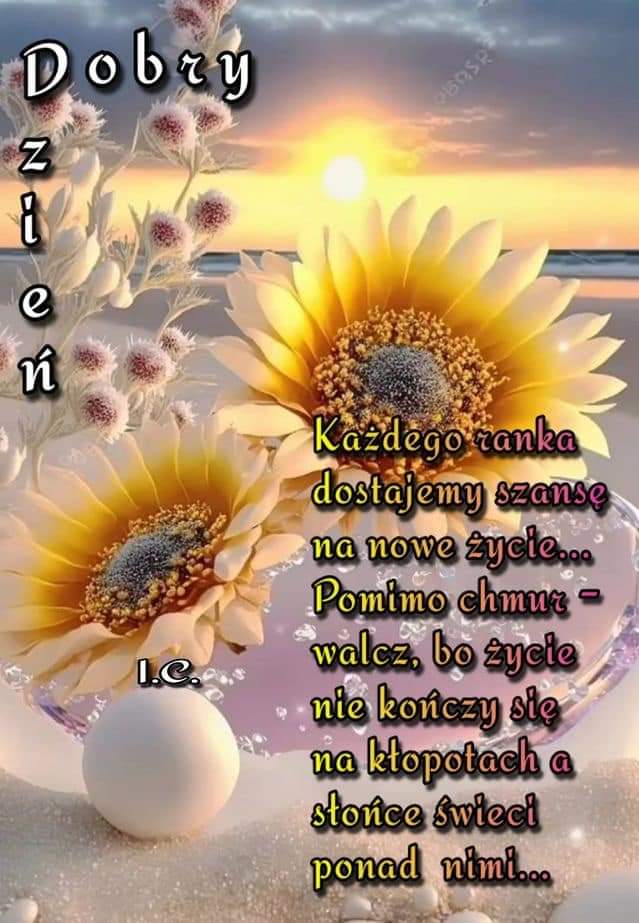 Dzień dobry 🍀🌞🍀