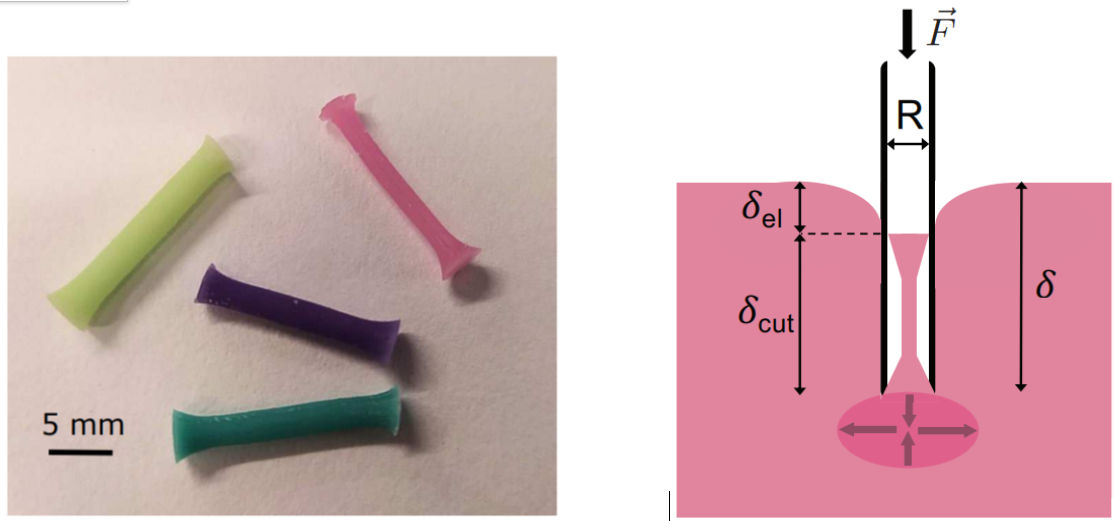 SIMM Laboratory (@simm_lab) on Twitter photo Can you predict the shape of your chunks when cutting soft materials?
Our latest paper: “Soft coring : how to get a clarinet out of a flute ?” is now online on Extreme Mechanics Letters.
Free access for next 50 days: authors.elsevier.com/a/1gzuP8MuOhFr… <a href="/SIMM_Lab/">SIMM Laboratory</a> @LP_ENS_ <a href="/ESPCI_Paris/">ESPCI Paris - PSL</a> Can you predict the shape of your chunks when cutting soft materials?
Our latest paper: “Soft coring : how to get a clarinet out of a flute ?” is now online on Extreme Mechanics Letters.
Free access for next 50 days: authors.elsevier.com/a/1gzuP8MuOhFr… <a href="/SIMM_Lab/">SIMM Laboratory</a> @LP_ENS_ <a href="/ESPCI_Paris/">ESPCI Paris - PSL</a>