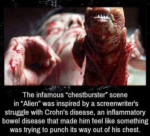 #AlienDay 
#AliensDay 
I think many #IBD sufferers can relate to this! 🙈 
😚💋#IBDBatman #IBDSuperheroes #CrohnsDisease #Crohns #Colitis #UlcerativeColitis  #CureCrohnsColitis #IBDLife
@IBDSuperHeroes