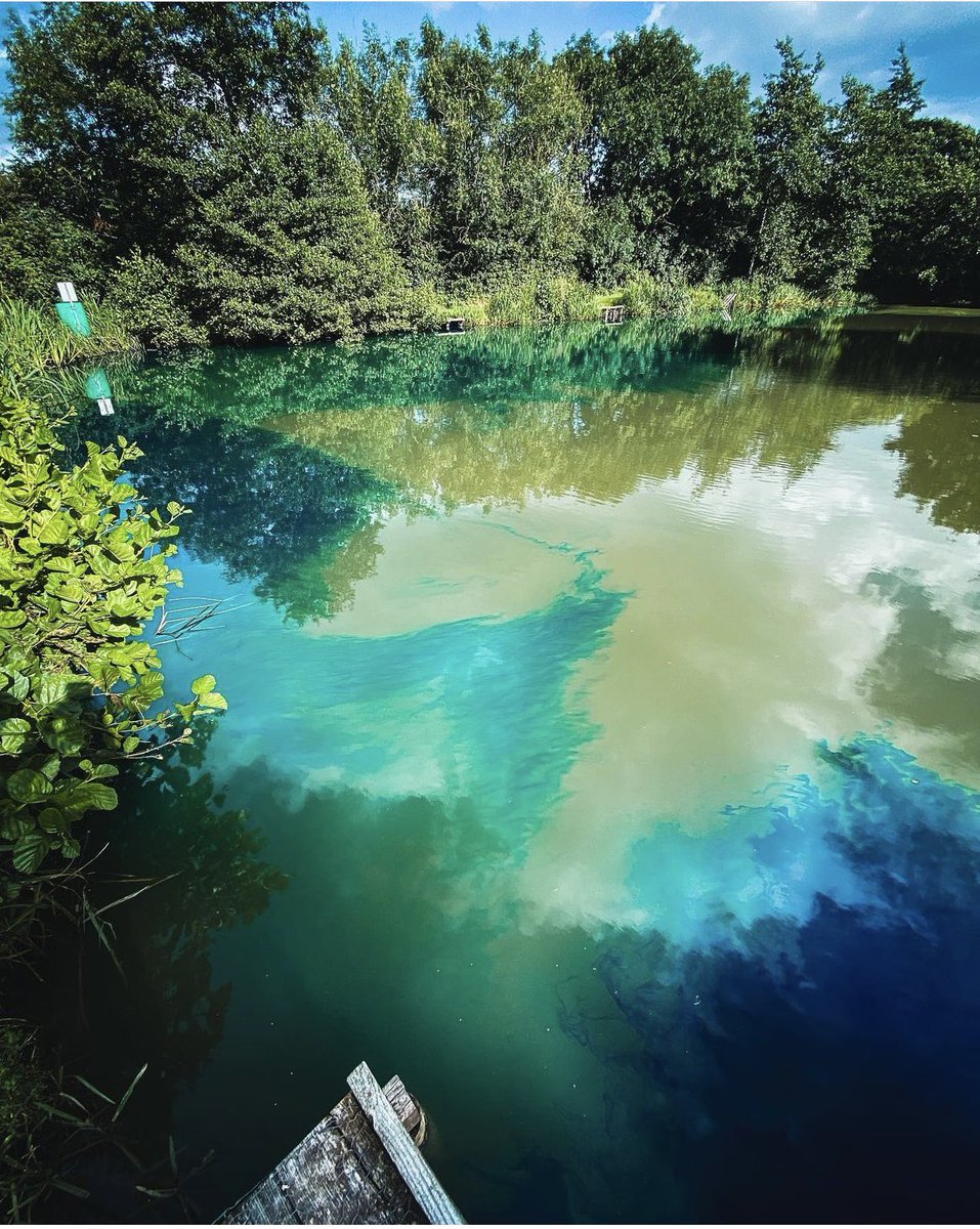 #waterwednesday #blue #pond #ponddye #lakedye #fishing