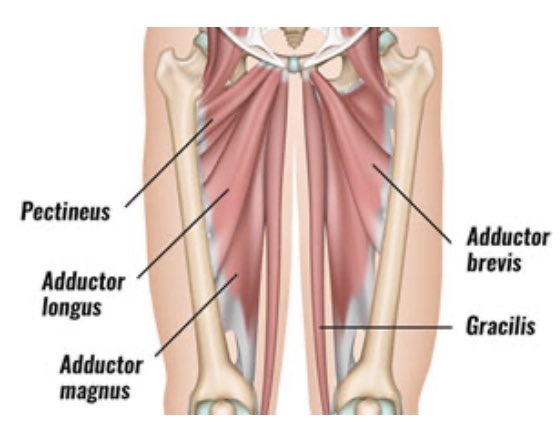 Brandygarret's tweet photo. IMPORTANT!!! Cleary is out against the Tigers… his niggle last week hasn’t gone away, very minor groin strain will undoubtedly be back next game. https://t.co/JEoNBjINZk