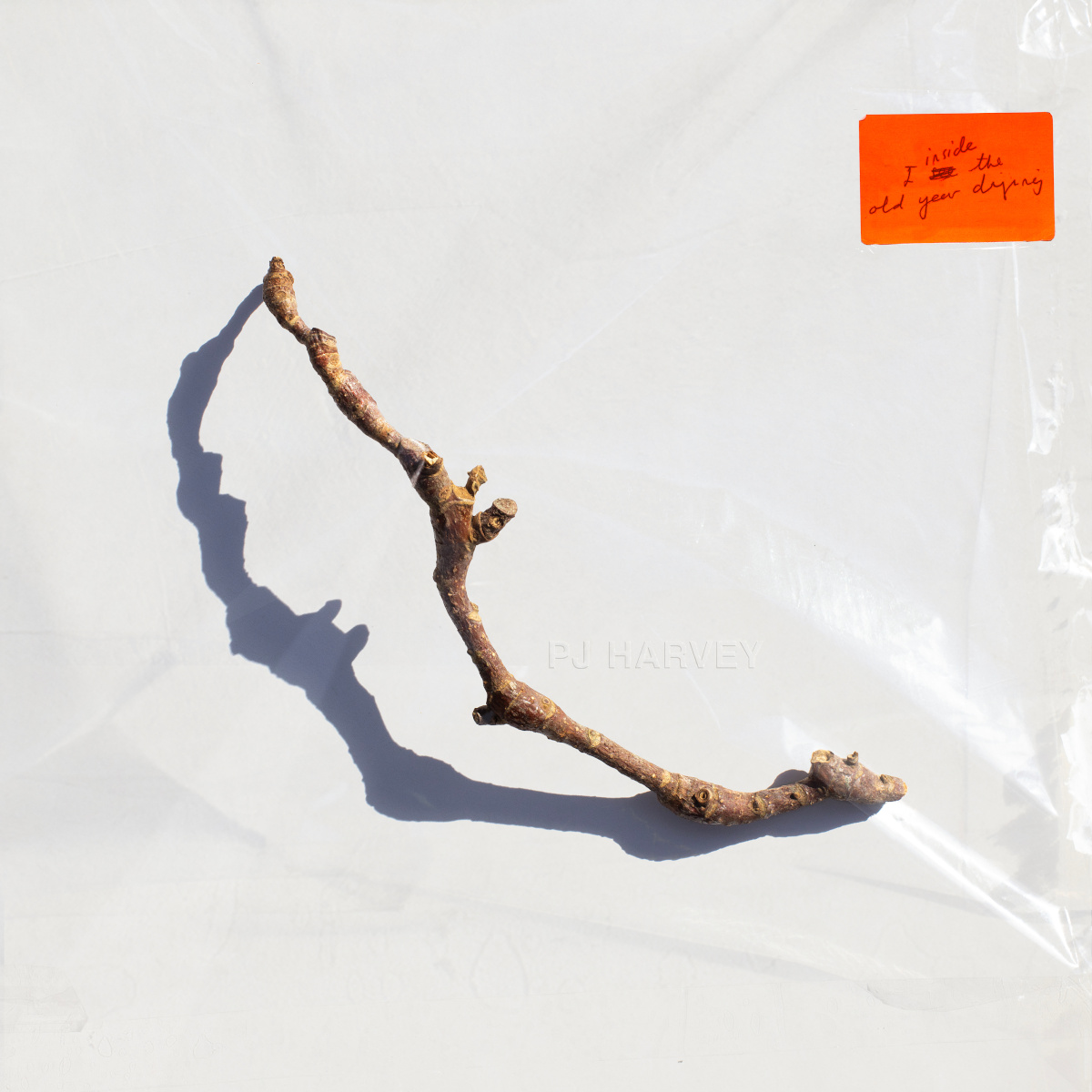 PJHarveyUK's tweet photo. PJ Harvey's tenth studio album 'I Inside the Old Year Dying' will be released July 7th 2023 on Partisan Records, and is available to pre-order on gatefold 140g vinyl and CD, along with some newly designed merchandise:

https://t.co/YVd7EnKMTi

#iinsidetheoldyeardying https://t.co/zFSHUCIA1j