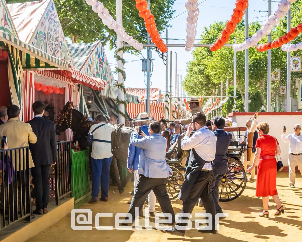 Momentazo  de la Feria de Abril de Sevilla cuando una mula sedienta quiso entrar a pedir una jarra de rebujito

📸<a href="/cellesar/">César Llerena⏺</a> 
Fotógrafo de Emociones y Obras de Arte 
.
#cellesar #cellesarstreetphotography #sevilla
 #makeup #portrait_shot #feriadeabril #europeanfilm  #backstage