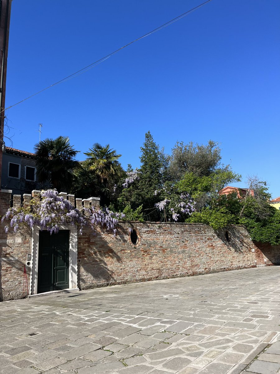 ortyzapple's tweet photo. Azzz tocca cambiare mezzo: linea 14 -lido, punta sabbioni, una volta destinata a spiaggianti ora stracarica: ai 15 va anche a burano. #cosechecambiano #venezia sempre più a servizio dei turisti 
(In passeggiata, vedo #glicini e click :-) https://t.co/hsSWREHsO5