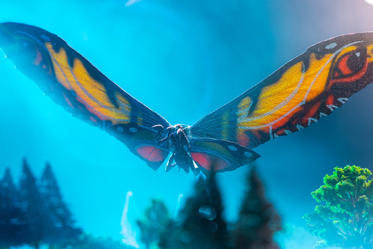 joakira09's tweet photo. Mothra by @HiyaToys. Thank you for the opportunity to work with your fantastic product. Keep it up! https://t.co/oDU0fbiQCG