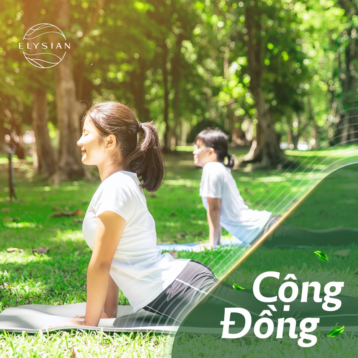 Andy_Realtor's tweet photo. ELYSIAN - DỰNG XÂY MỘT CỘNG ĐỒNG SỐNG CHẤT - SỐNG KHỎE
Sân tập golf,bóng rổ,sàn tập yoga
Máy tập thể thao ngoài trời
Lối chạy bộ,tiện ích hồ bơi dành cho gia đình
Khu trò chơi dân gian,sàn đa chức năng

💎AD REALTY - BẤT ĐỘNG SẢN CAO CẤP 💎
☎️ 094 345 9229 https://t.co/dDdGxso4ca