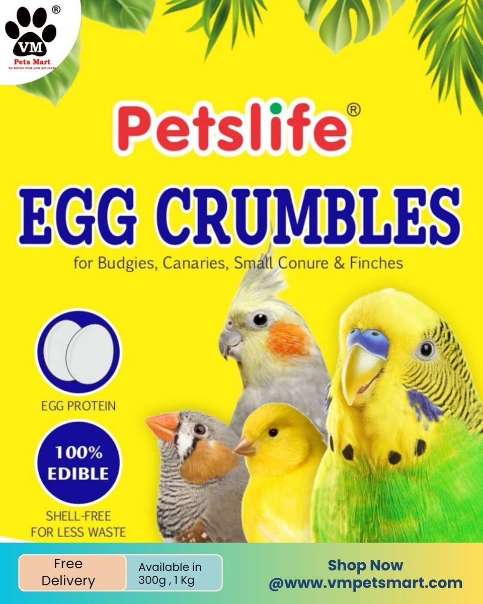 Petslife Egg Food Provides your yellow factor canary with an excellent source of real egg. 

✅Ideal for Budgies, Canaries, Smal conures and finches.

Link on bio!!

#petslife #vmpetsmart #pets #petshop #birds #birdsfood #eggfood #petshopnagercoil #nagercoil #vitamins
