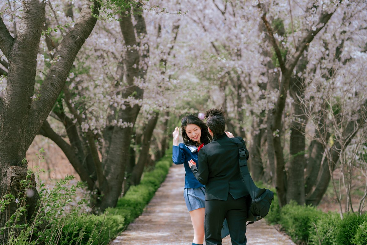그 계절, 벚꽃이 떨어지는 마지막의 한 순간이란 느낌에 좋아하는 사진.

송태섭: <a href="/CG_BRD49/">청경/블스 동일</a> 
이한나: <a href="/yoonmoz/">Moz</a>