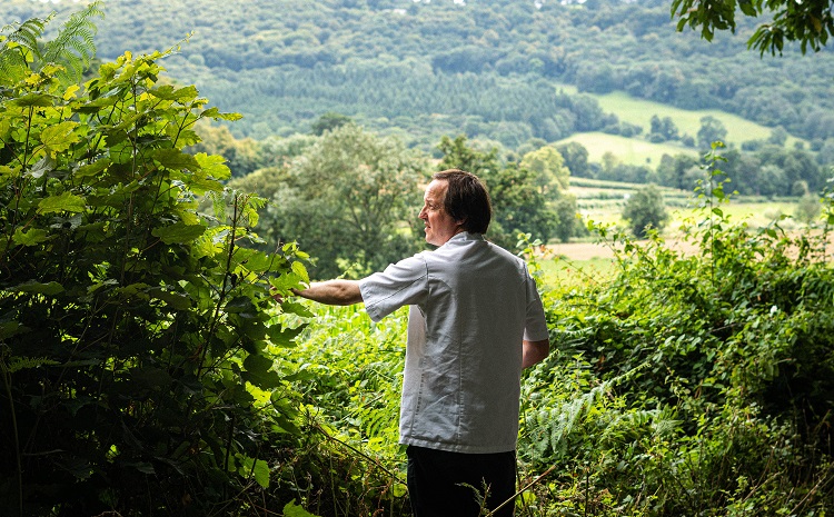 Foraging for a restaurant sustainably by @katherineprice featuring @ChefChrisHarrod @TheWhitebrook and Ian Waller @restaurant_pine hospitalityandcateringnews.com/2023/04/foragi…