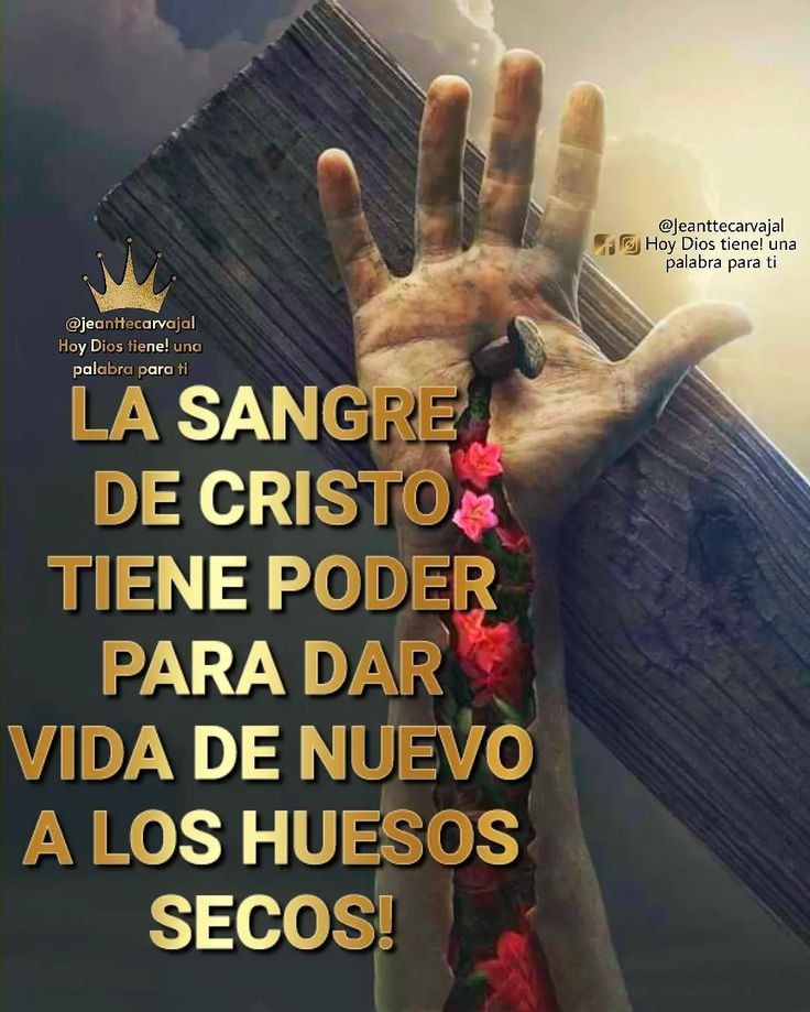 MiguelCruzVelz1's tweet photo. MI DIOS https://t.co/nL7wcpxNtt