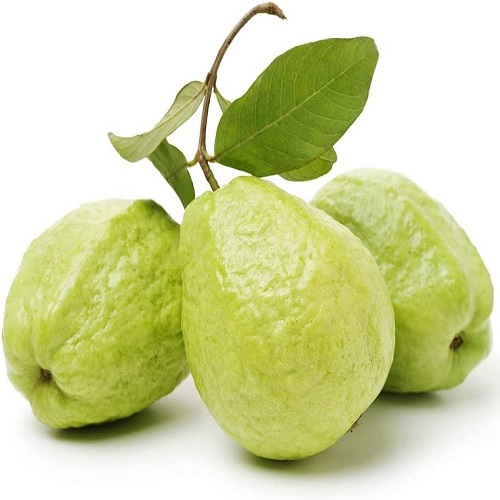 BeejwalaIndia's tweet photo. Buy Guava Fruit Plant Seeds Pack
https://t.co/gCIoldpSLQ
🎁 SPECIAL OFFER: Up to 90% off
👉 Check Now: https://t.co/qkdEnDEzlA
📦 Dispatch in 1 - 2 Days
#beejwala #Guava #Amrood #FruitSeeds #garden #gardening https://t.co/sQQfFn0Pjf