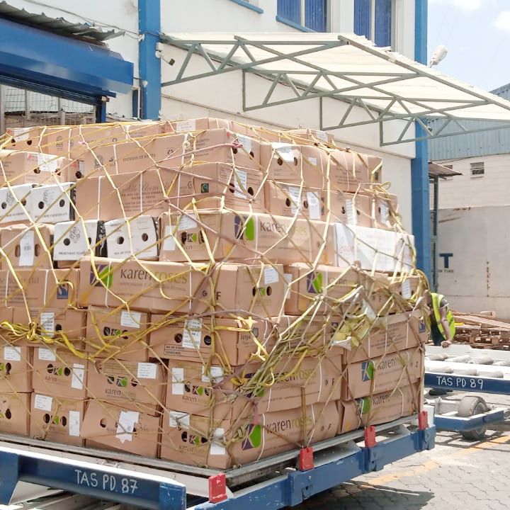 _freightintime's tweet image. We understand that not all problems have the same solutions, which is why we offer customized air freight perishables solutions for all your perishables needs.

Contact us Today!
fitsales@freight-in-time.com 

#perishables #airfreightsolutions