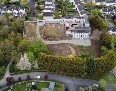 Catherine Murphy tweet media