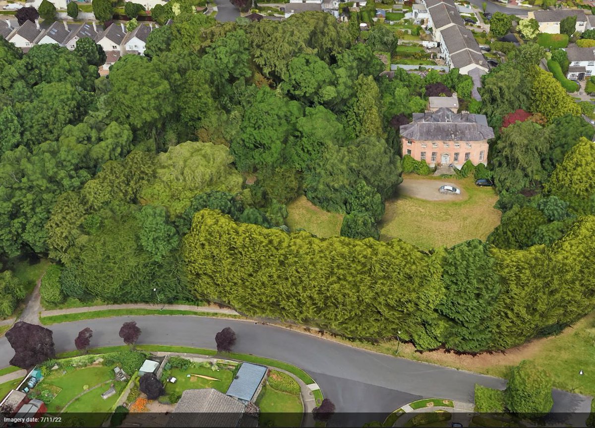 Catherine Murphy tweet media