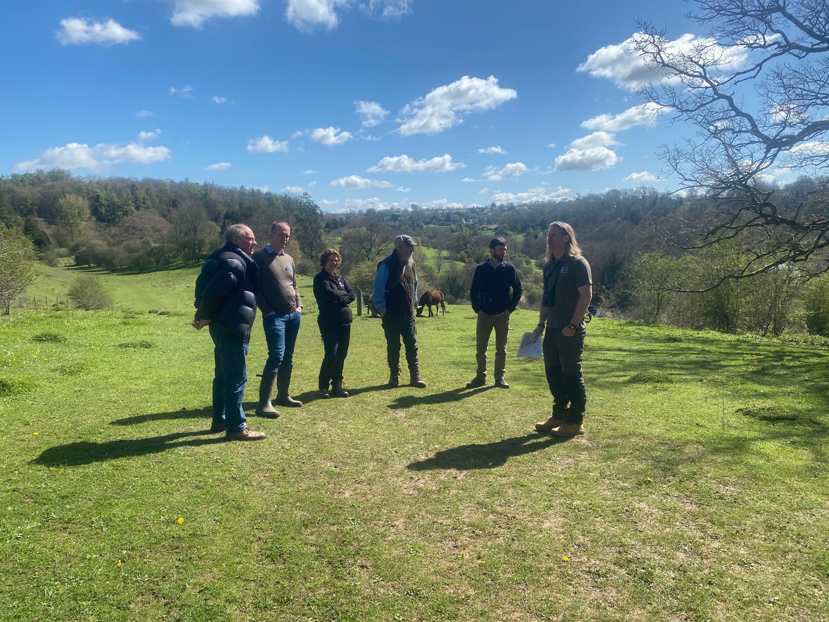 Sarah Meredith tweet media