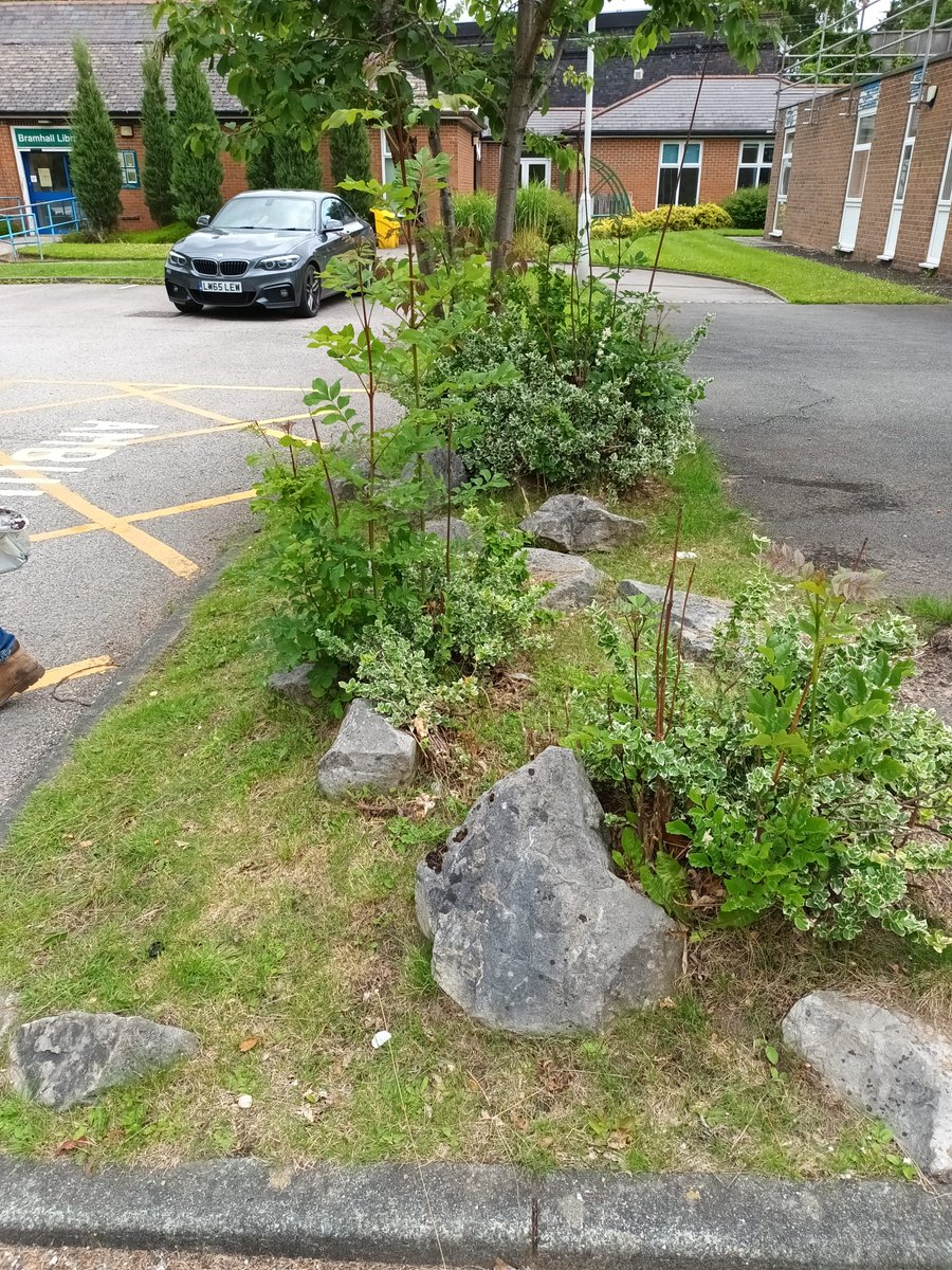 Stockport Council on Twitter "Bramhall in Bloom have been cleaning up