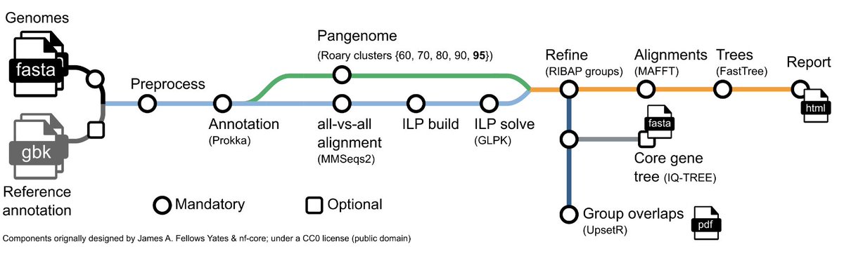 martinhoelzer's tweet photo. 1st full release of RIBAP! 

https://t.co/JSBzlIiHeb

RIBAP combines sequence homology info from Roary (kudos to the devs!) w/ clever pairwise ILP calcs (kudos to @klamkiewicz!) to produce a more complete microbial core gene set - even on genus level.

Implemented in @nextflowio https://t.co/rREMNIESdq