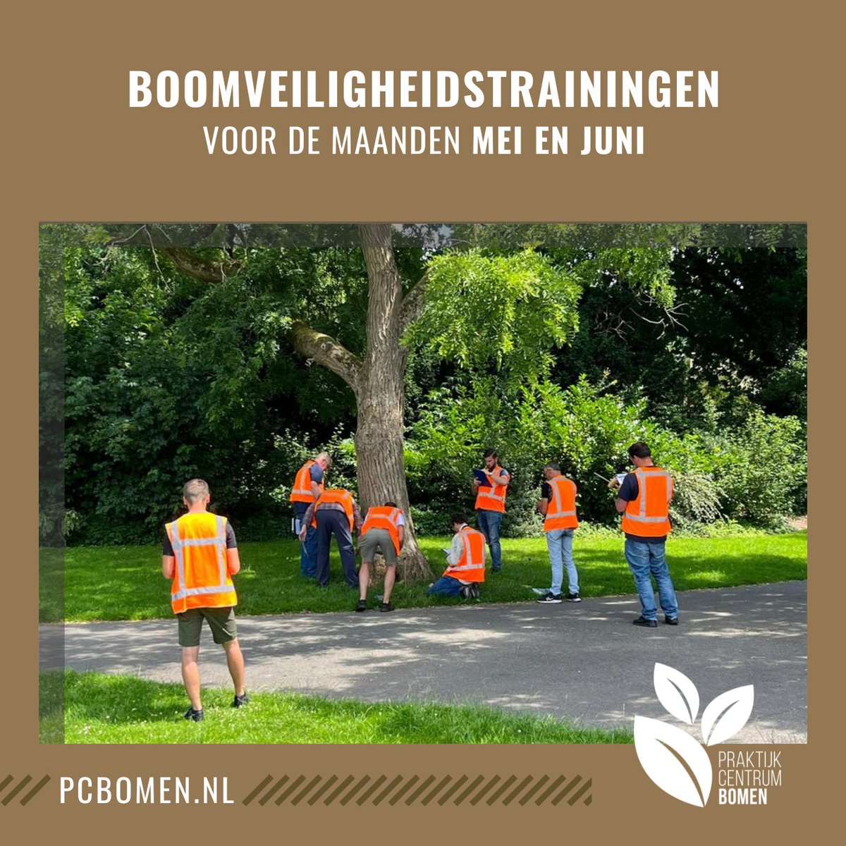 Hercertificering boomveiligheids-inspecteur op 17 mei 2023. 🌳bit.ly/3FhbCcn
_
Vervolgtraining boomveiligheids-inspecteur. Deze training duurt 3 dagen en is op 15, 21 juni &amp; 3 juli 2023. 🌲
bit.ly/2qDNycQ