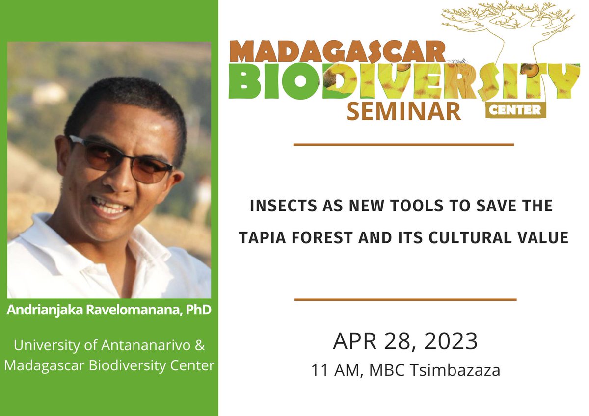 Madagascar Biodiversity Center (@mbc_madagascar) on Twitter photo Happy to host another seminar🔥
🗓️On friday, Dr <a href="/Njakaravel/">njakaRavel</a> from the University of Antananarivo and the <a href="/mbc_madagascar/">Madagascar Biodiversity Center</a> will talk about #insects and #TapiaForest.
#Insects
#Tapia
#cultural #value
📆Friday, April 28th⏱️ 11AM
📌 MBC Tsimbazaza
Zoom link: uwmadison.zoom.us/j/96651580642 Happy to host another seminar🔥
🗓️On friday, Dr <a href="/Njakaravel/">njakaRavel</a> from the University of Antananarivo and the <a href="/mbc_madagascar/">Madagascar Biodiversity Center</a> will talk about #insects and #TapiaForest.
#Insects
#Tapia
#cultural #value
📆Friday, April 28th⏱️ 11AM
📌 MBC Tsimbazaza
Zoom link: uwmadison.zoom.us/j/96651580642