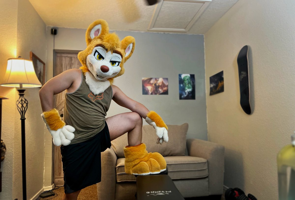 Fusanoshin's tweet photo. I've taken a few photos to promote my fursuit workout streams. Which is your favorite? 💪 #FursuitFriday #flexfriday #sqrlprogress https://t.co/B30p5rhtLY