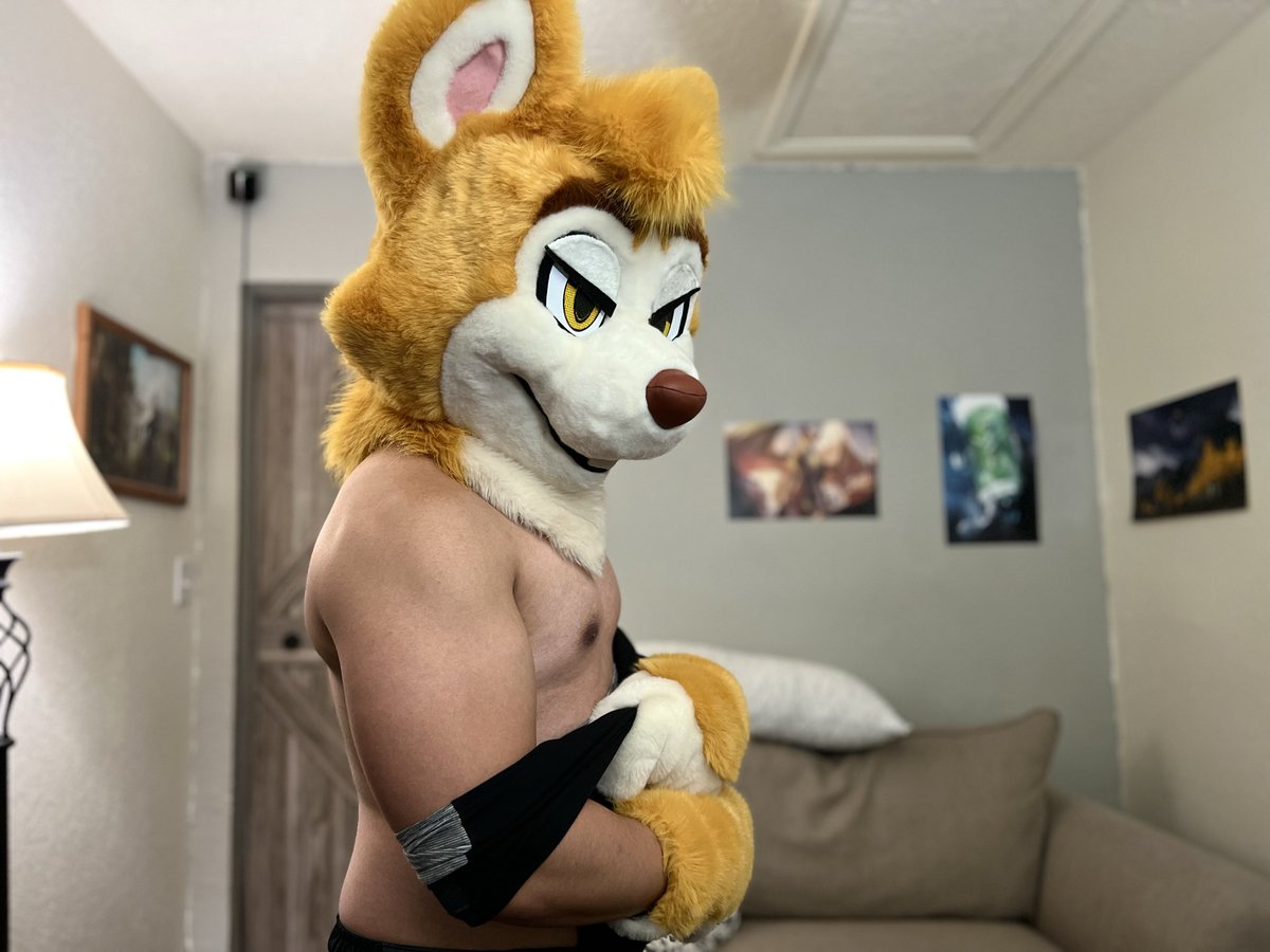 Fusanoshin's tweet photo. I've taken a few photos to promote my fursuit workout streams. Which is your favorite? 💪 #FursuitFriday #flexfriday #sqrlprogress https://t.co/B30p5rhtLY