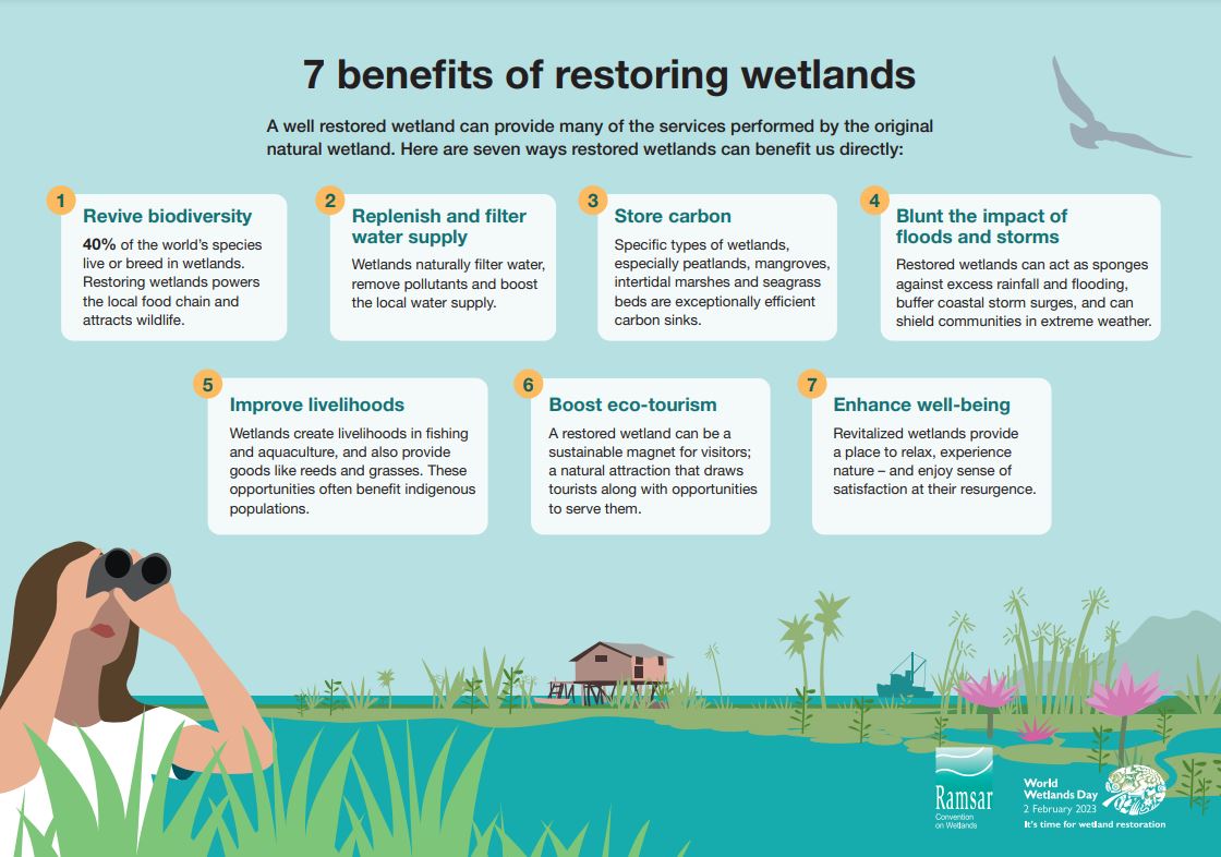 What are the benefits of restoring #wetlands across the world? 

Here's 7⃣ reasons why we should acknowledge that a world without #wetlands is a world without freshwater &amp; the benefits they provide.

 More info: bit.ly/2FmoxgF

#GenerationRestoration 
#ForWetlands