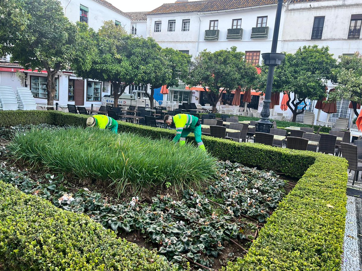 Vivir Marbella tweet media