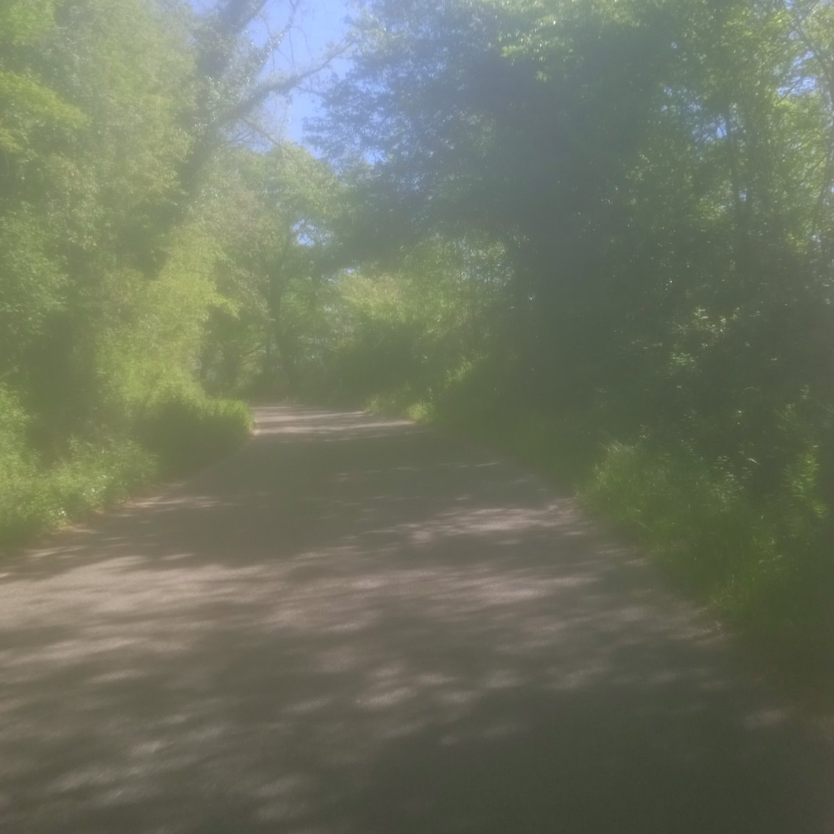 lucananni1010's tweet image. #MondayMood in bici tra la ciclabile di Frosinone e il bosco di #morolo 140 km in #ciociaria e dintorni 🚴🚴☀️☀️