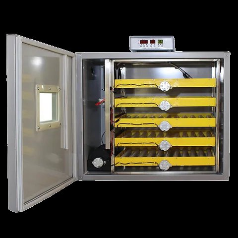 worldpoultry7's tweet photo. The Company of world poultry  Incubators has of Manufacturing Poultry Appliances  India. The Company is manufacturing Best Quality 101 Eggs Capacity to 1,20,000 Eggs Capacity Fully Automatic &amp; Semi Automatic Incubatorsand supplying allover https://t.co/qS0sTwEvHV now 7396616176 https://t.co/L6VU9pXZ7Y
