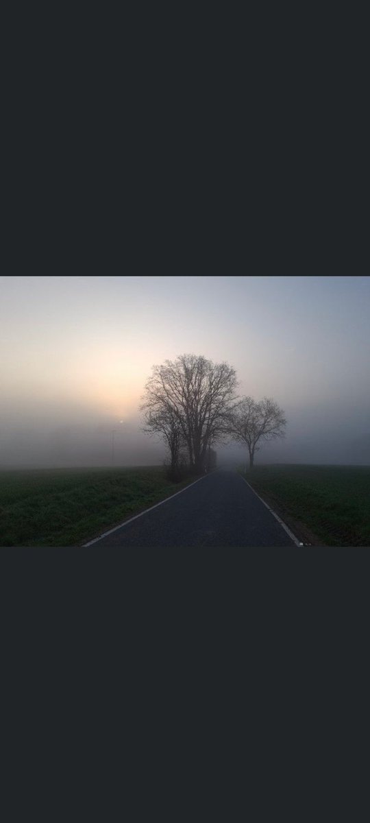 IvanPer39685369's tweet photo. https://t.co/mkEcWc01RH