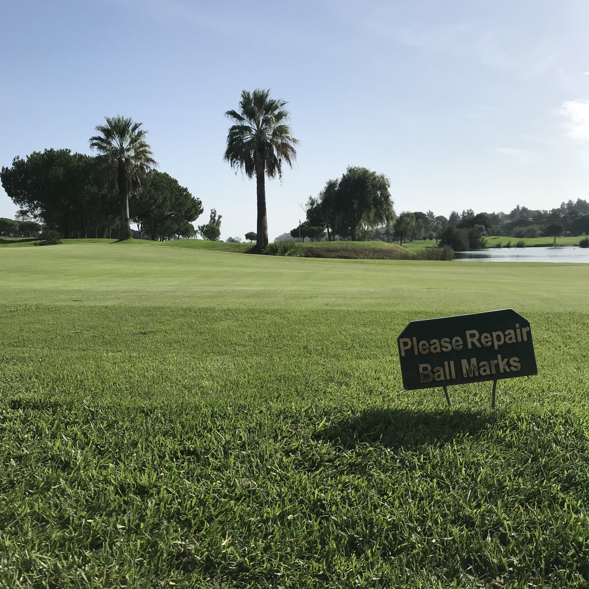 Pinheiros Altos Golf tweet media