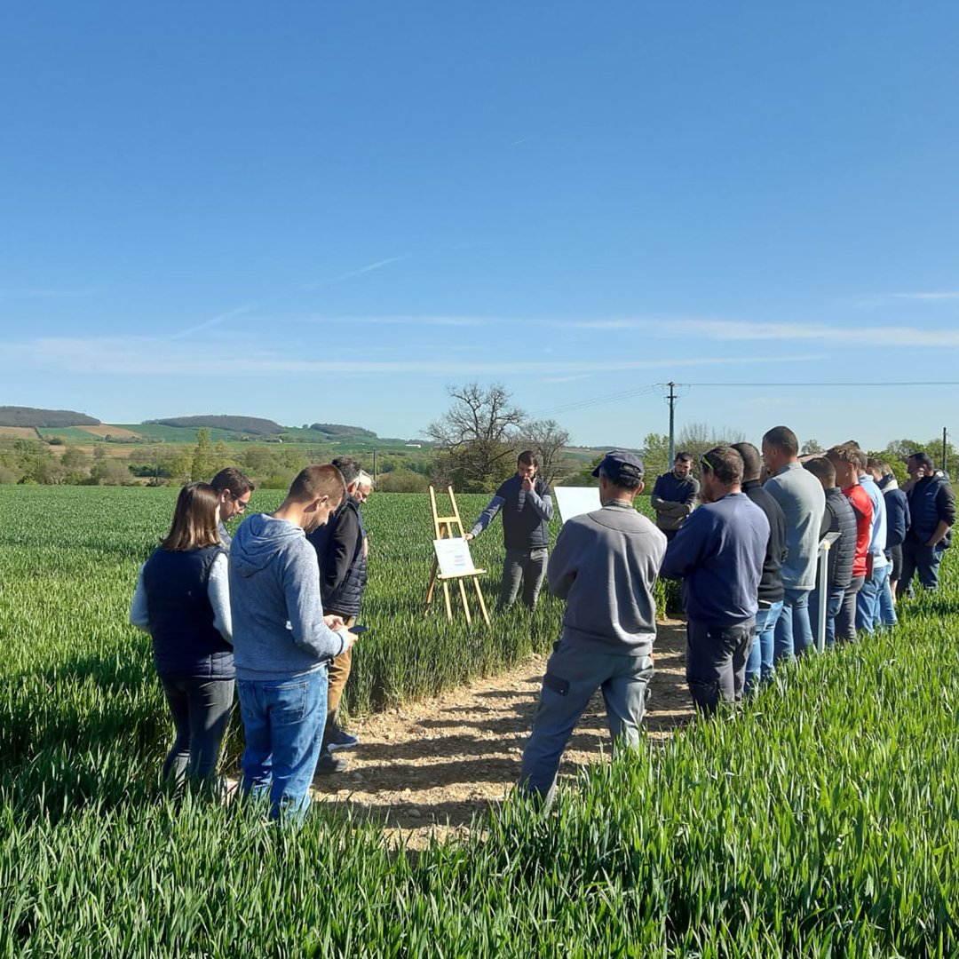 QUALISOL tweet media