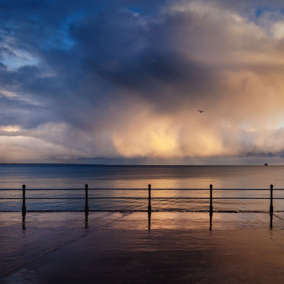 EXPERIENCE Project Cornwall tweet media