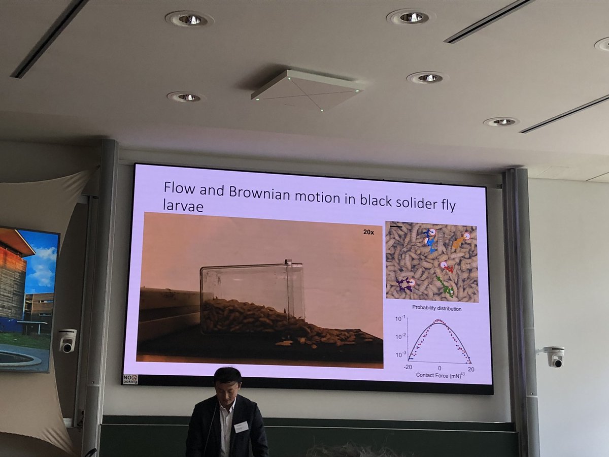 GTheraulaz's tweet photo. Today we started our breakfast with a spoonful of ants rafting and a soup of maggots at #active23 and the funny physics behind these phenomena in the talk of David Hu (Georgia Institute of Technology) https://t.co/AOZOd2mh5I