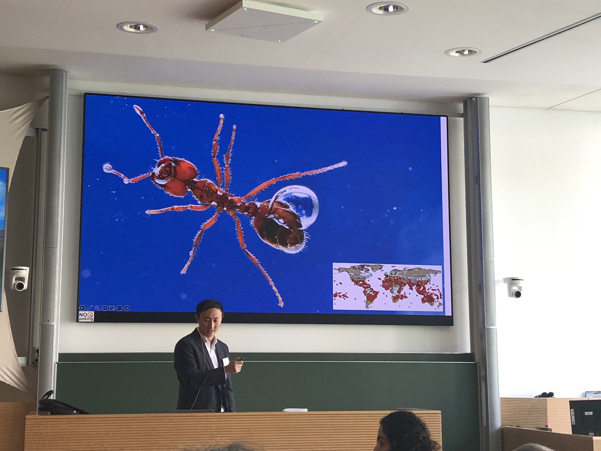 GTheraulaz's tweet photo. Today we started our breakfast with a spoonful of ants rafting and a soup of maggots at #active23 and the funny physics behind these phenomena in the talk of David Hu (Georgia Institute of Technology) https://t.co/AOZOd2mh5I