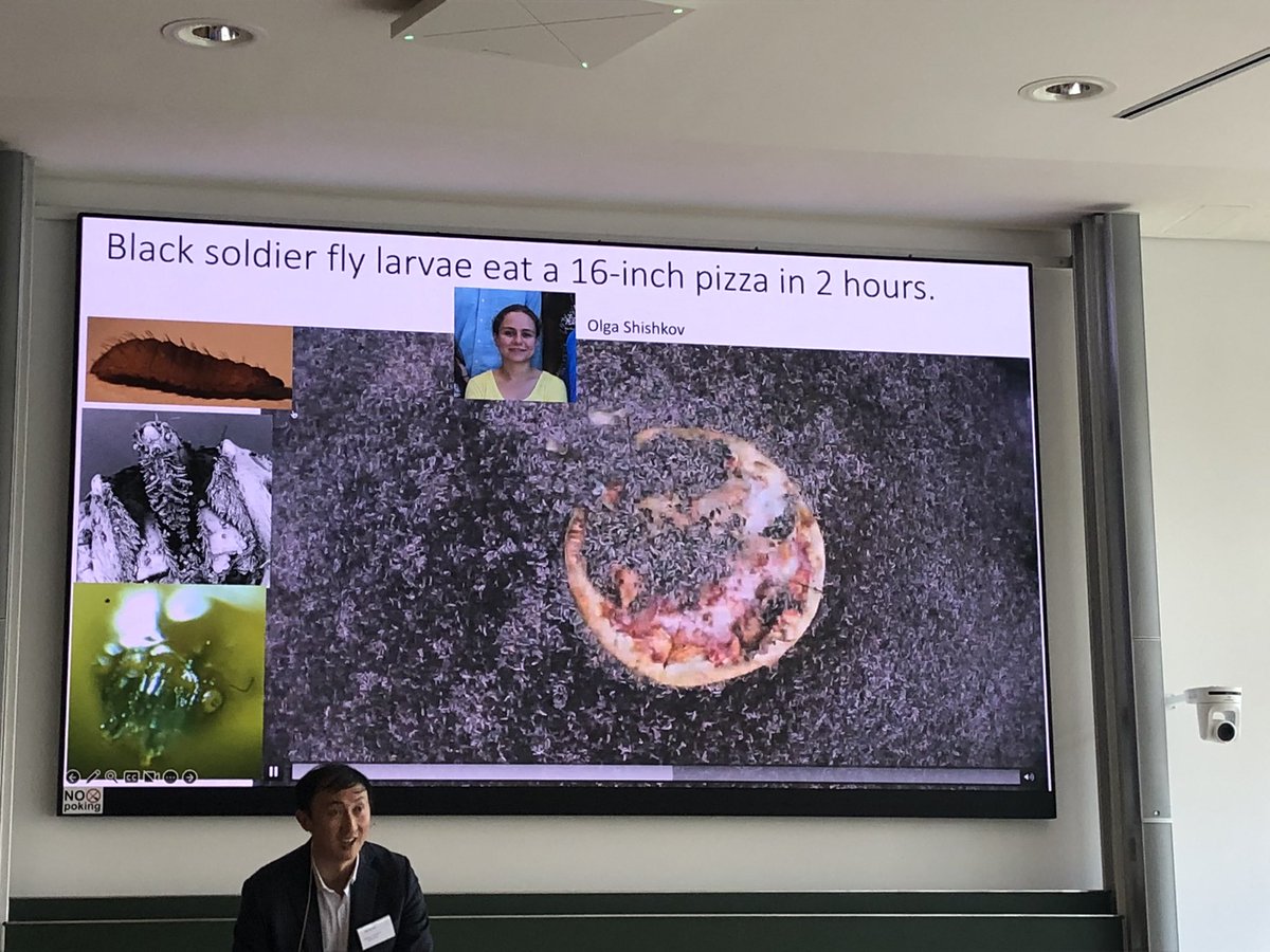 GTheraulaz's tweet photo. Today we started our breakfast with a spoonful of ants rafting and a soup of maggots at #active23 and the funny physics behind these phenomena in the talk of David Hu (Georgia Institute of Technology) https://t.co/AOZOd2mh5I