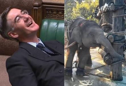 Last year Jacob Rees-Mogg blocked law saving elephants from tourism torture despite 87% of his constituents (NE Somerset) supporting the law, only 2% against. How on earth does he remain in public life?
@bbcradiobristol @BathEcho  @PeterEgan6  @StanleyPJohnson  @BillBailey