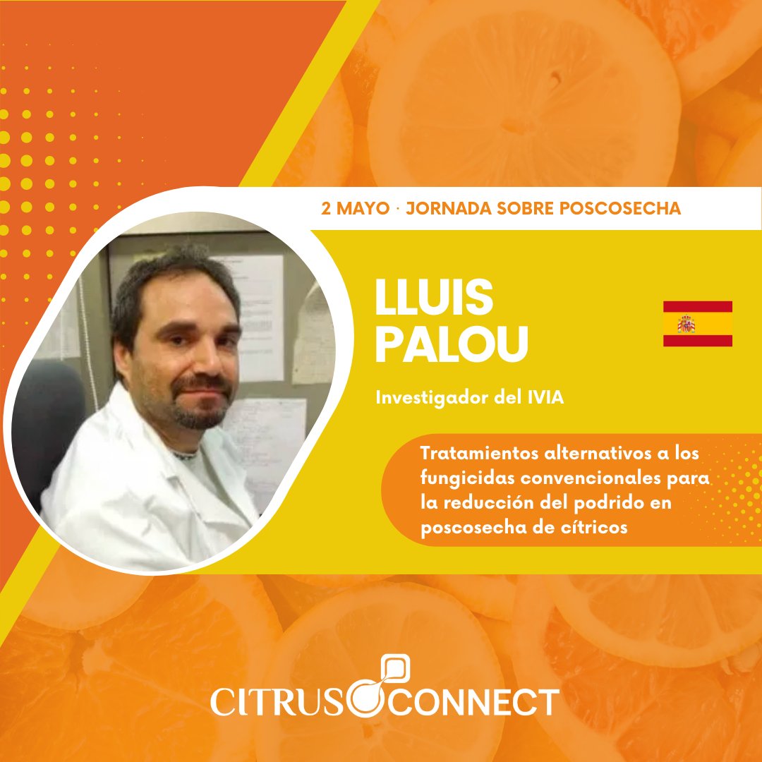 Citrus Connect & Citrus Forum (@citrusforum) on Twitter photo Ponentes #CitrusConnect 🍊
🇪🇸 Lluis Palou - Investigador del <a href="/GVAivia/">IVIA</a> 
🗣️ "Tratamientos alternativos a los fungicidas convencionales para la reducción del podrido en poscosecha de cítricos"
📆 2 de Mayo
📲 ¡Inscríbete ya! citrusforum.es Ponentes #CitrusConnect 🍊
🇪🇸 Lluis Palou - Investigador del <a href="/GVAivia/">IVIA</a> 
🗣️ "Tratamientos alternativos a los fungicidas convencionales para la reducción del podrido en poscosecha de cítricos"
📆 2 de Mayo
📲 ¡Inscríbete ya! citrusforum.es