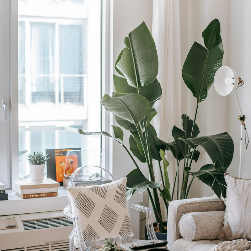 Spruce your home with some spring home decor trends of 2023!
headinthewrite.com/post/home-deco…

#homedecor #spring #springtrends #homedecorideas #bloggerstribe #BloggersHutRT #trjforbloggers