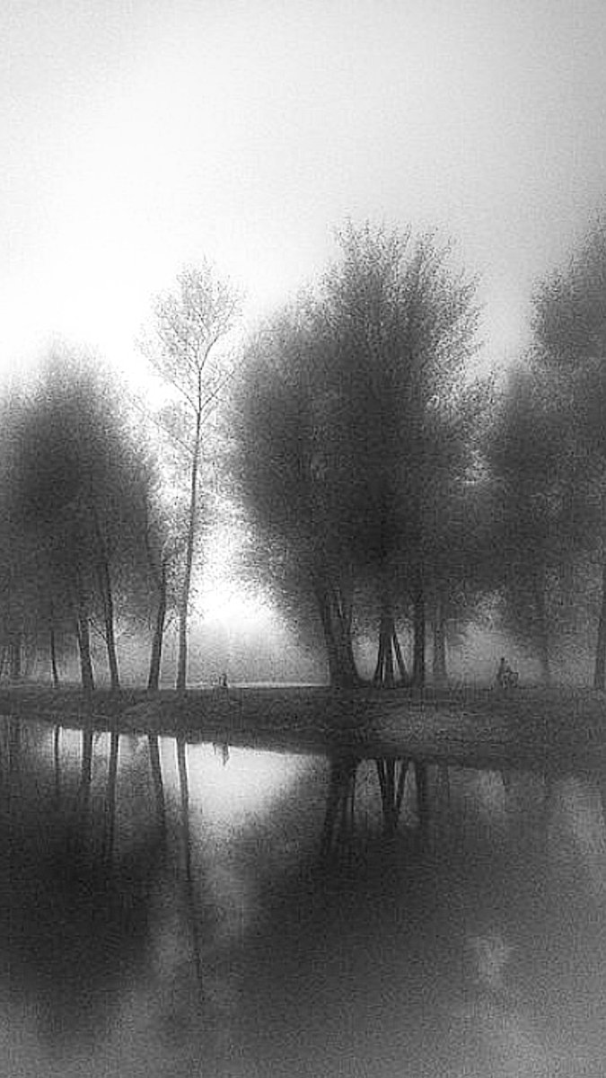 clicks1222's tweet photo. #blackandwhitephotography #mood #river #landscape_lovers #feeling #myst #blackandwite #lake #monocromatico #fineart #melancholy #monochrome #mist #photographers #monochromatic #project_bnw #monochromephoto #artgalleries
#bnwmood #shore #Photography
Tap 👇 https://t.co/R3OKyn6Wzn